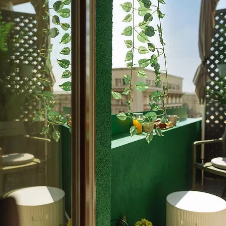 Daire Wilson Center Cosy *